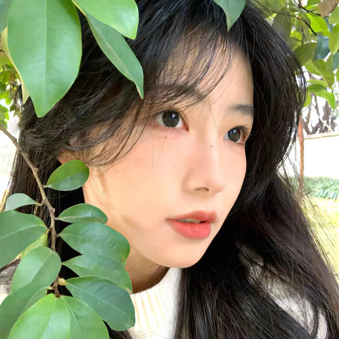 追缉杀人护士
